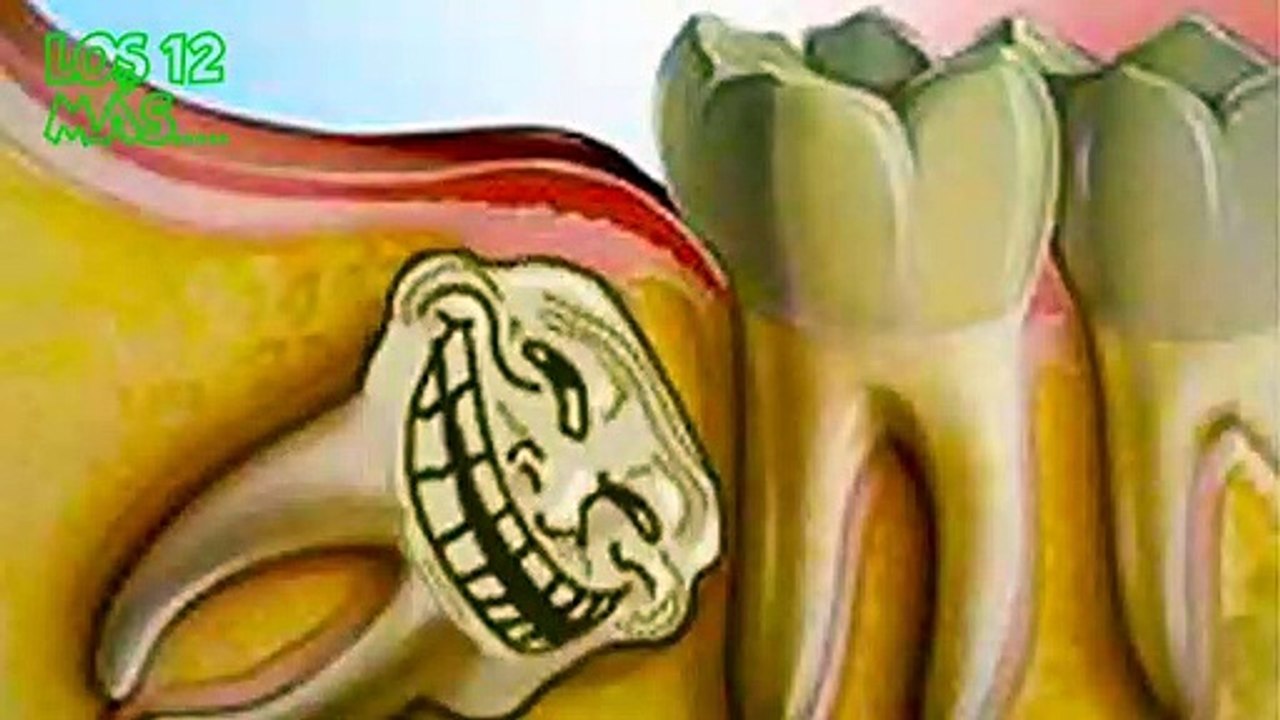 Partes del cuerpo que no son tan necesarias