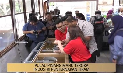 Khabar Dari Pulau Pinang: Mahu teroka industri penternakan tiram