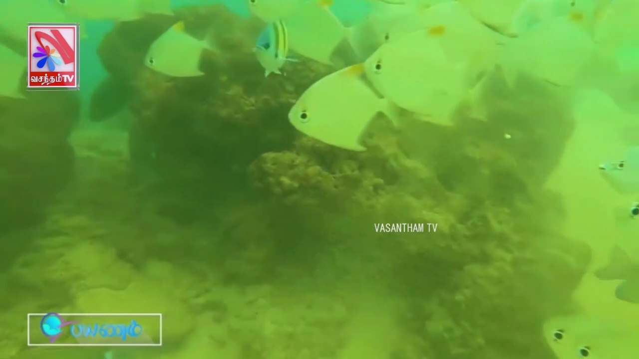 Payanam -  Vasantham TV (13-03-2022)