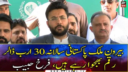 Overseas Pakistanis are sending $30 billion annually, says Farrukh Habib