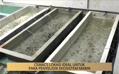 Khabar Dari Pulau Pinang: CEMACS lokasi ideal untuk para penyelidik ekosistem marin