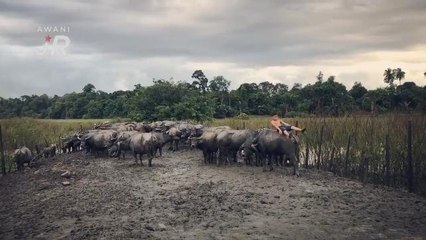 #AWANIJr: Syukor Khamis adiwira kasih sayang sejati