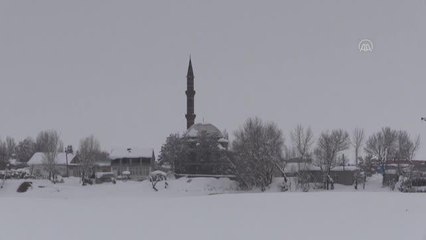"Baharın habercisi" leylekler kara yakalandı