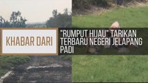 Khabar Dari Kedah: 