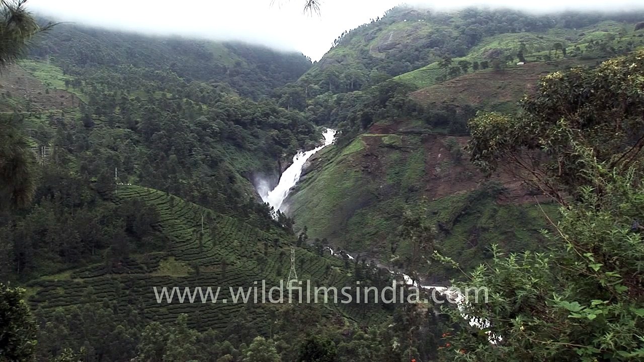 Thundering Ulakkai Aruvi falls...