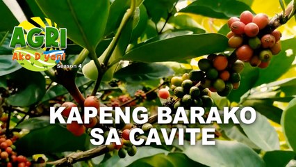 Kapeng Barako sa Cavite