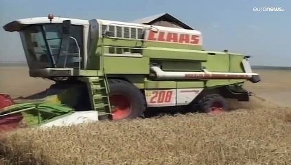 Verhängnisvolle Auswirkungen des Krieges: Es droht Hunger