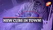 WATCH | Royal Bengal Tigress ‘Sheela’ Gives Birth To Five Cubs