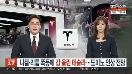 니켈·리튬 폭등에 값 올린 테슬라…도미노 인상 전망