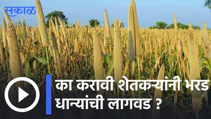 Agriculture News | का करावी शेतकऱ्यांनी भरड धान्यांची लागवड ? | Sakal |