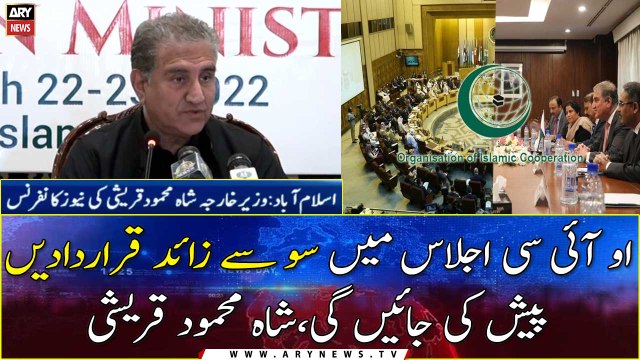 More than 100 resolutions will be presented in OIC meeting, Shah Mehmood Qureshi