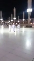 Ninja cat catch a mouse in the Prophet's Mosque
