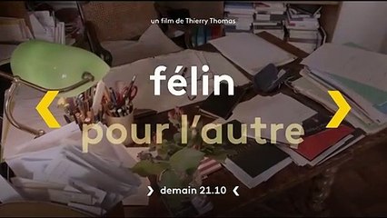 Les écrivains, le silence et les chats - 15 mars