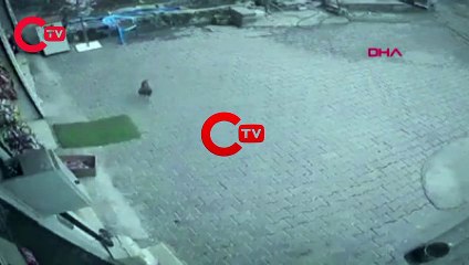 Cips paketini alıp kaçan horoz kamerada
