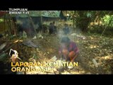 Tumpuan AWANI 7.45: Laporan kematian Orang Asli & eksport ke China