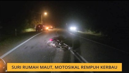 Suri rumah maut, motosikal rempuh kerbau