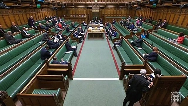 Academics accused of being 'useful idiots' for Putin