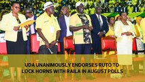 UDA unanimously endorses Ruto to lock horns with Raila in August polls