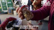 Erwan a tout plaqué pour vivre de la permaculture