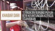 Khabar Dari Kelantan: Ternakan burung puyuh beri keuntungan kepada usahawan