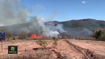 tn7-incendios-forestales-150322
