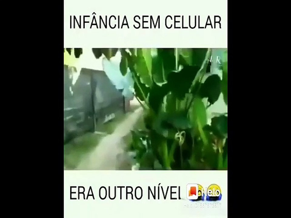 Tente não rir com os vídeos Engraçados