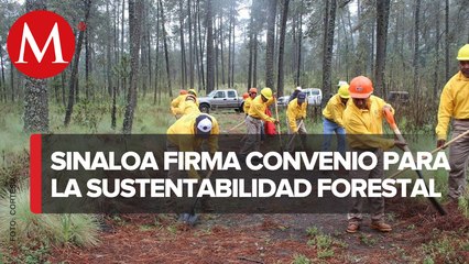 Gobierno de Sinaloa firma convenio con Conafor para sustentabilidad forestal