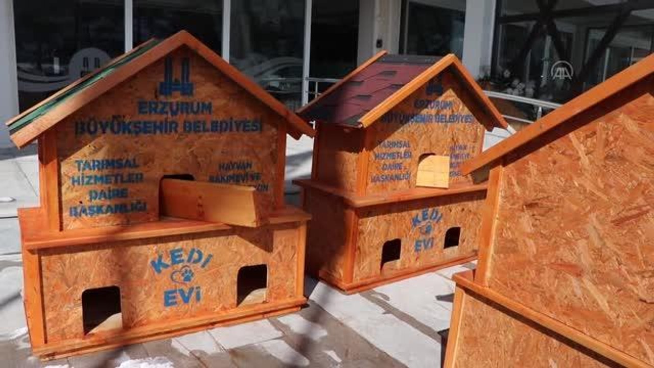 Sokak hayvanlarının ihtiyaçları her mevsim karşılanacak