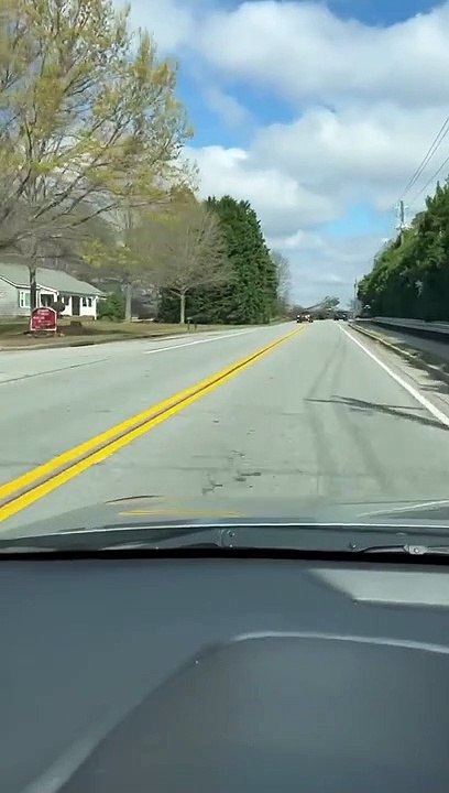 Fallen Tree Can't Stop This Car