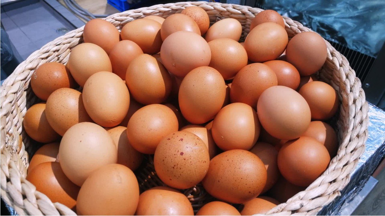 Ist das ei noch frisch? mit diesen vier tests finden sie es heraus