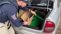 PRF apreende quase 44 kg de maconha no porta-malas de carro no Oeste de SC