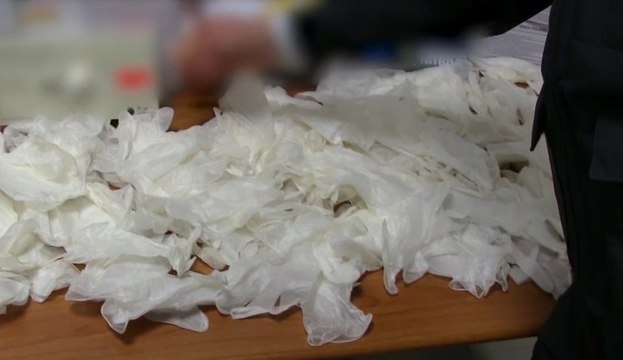 Roma - Traffico di guanti anti Covid : sequestri per 1 milione a società milanese (15.03.22)