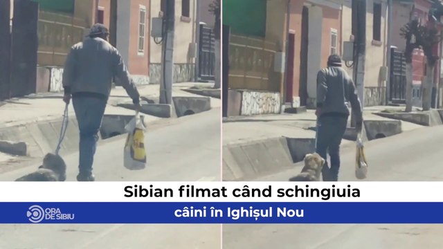 Știrile zilei la Sibiu - Sibian filmat când schingiuia câini în Ighișul Nou , Proxenet din Sibiu, reținut de polițiști şi O femeie a murit într-un accident, alta a ars de vie în casă