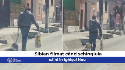 Știrile zilei la Sibiu - Sibian filmat când schingiuia câini în Ighișul Nou ,   Proxenet din Sibiu, reținut de polițiști  şi O femeie a murit într-un accident, alta a ars de vie în casă