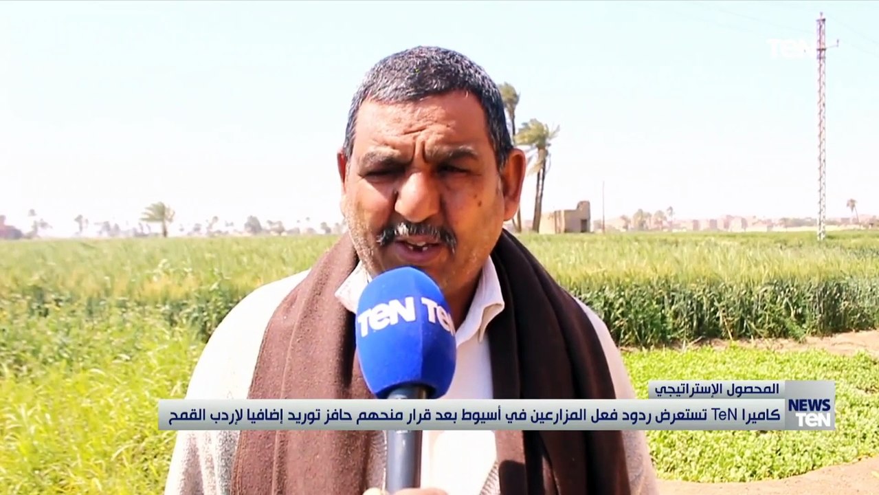 كاميرا TeN تستعرض ردود فعل المزارعين في أسيوط بعد قرار منحهم حافز توريد اضافيًا لإردب القمح