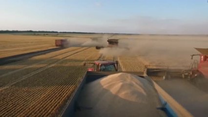 Naciones Unidas alerta de la hambruna que puede causar la subida del precio de los alimentos por la guerra