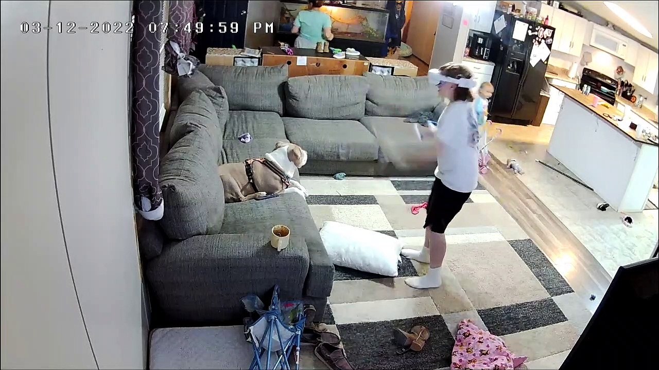 Brother Gets Bonked During VR