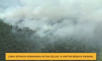 Lebih separuh kebakaran hutan seluas 16 hektar berjaya dikawal