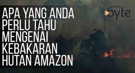 #AWANIByte: Apa yang anda perlu tahu mengenai kebakaran hutan Amazon