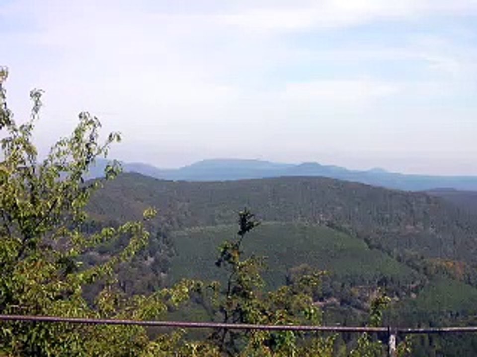 Eté 2011
