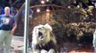 Une lionne intervient pour sauver cet homme qui se faisait charger par un lion
