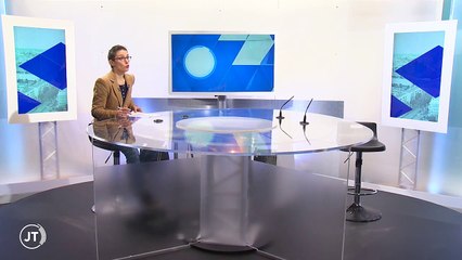 BLOIS / Retour d'une tapisserie spoliée par l'Allemagne nazie