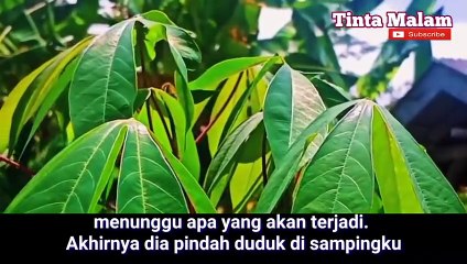 cerita romantis  perempuan yang di kasih  tiap malam oleh  pria lain