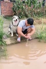 Funniest Cats and Dogs    Videos LOL Pets  14