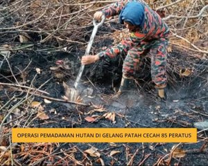 Operasi pemadaman hutan di Gelang Patah cecah 85 peratus