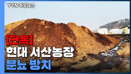 [단독] "정주영 소떼 키운 서산농장 분뇨 수백 톤 불법 방치"...경찰, 압수수색 / YTN