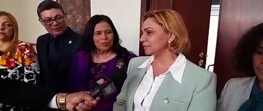 Legisladores presentan proyecto de Código Penal constitucional en lucha contra criminalidad.