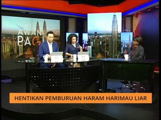 AWANI Pagi: Hentikan pemburuan haram harimau liar