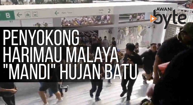 #AWANIByte: Penyokong Harimau Malaya Mandi hujan batu