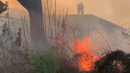 ext-incendio-santo-domingo-heredia-150322